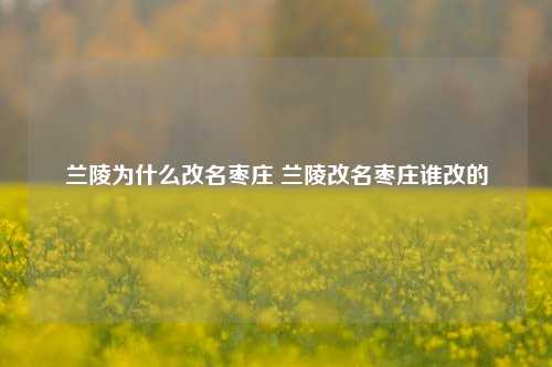 兰陵为什么改名枣庄 兰陵改名枣庄谁改的