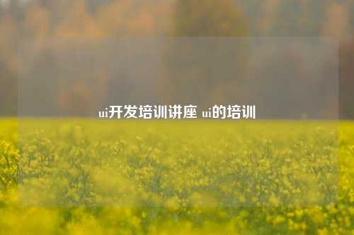 ui开发培训讲座 ui的培训