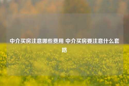 中介买房注意哪些费用 中介买房要注意什么套路