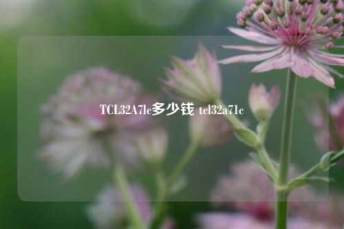 TCL32A7lc多少钱 tcl32a71c