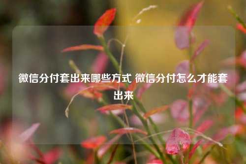 微信分付套出来哪些方式 微信分付怎么才能套出来
