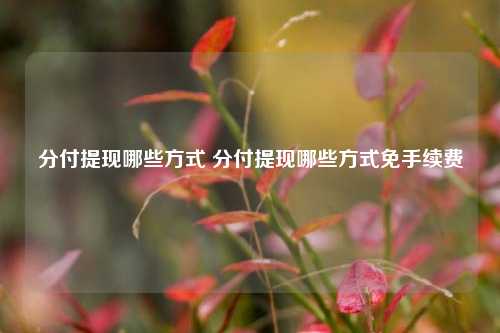 分付提现哪些方式 分付提现哪些方式免手续费