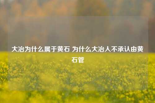 大冶为什么属于黄石 为什么大冶人不承认由黄石管