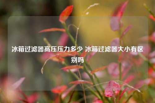 冰箱过滤器高压压力多少 冰箱过滤器大小有区别吗