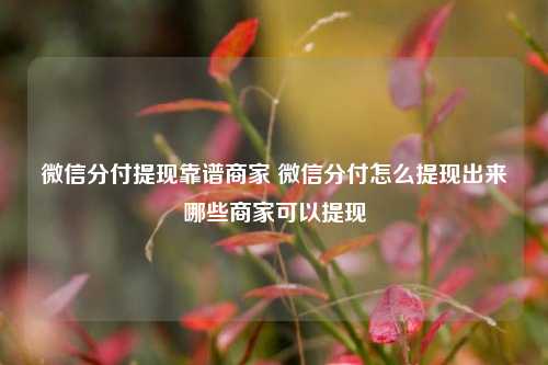 微信分付提现靠谱商家 微信分付怎么提现出来哪些商家可以提现