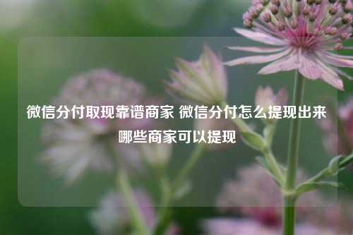 微信分付取现靠谱商家 微信分付怎么提现出来哪些商家可以提现