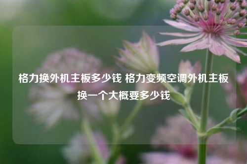 格力换外机主板多少钱 格力变频空调外机主板换一个大概要多少钱