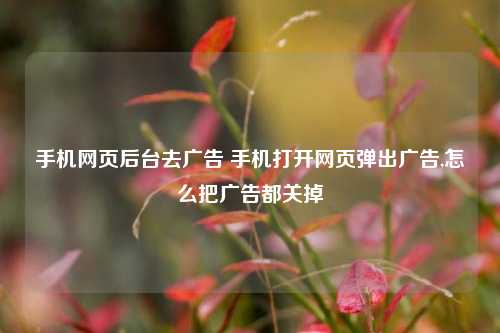 手机网页后台去广告 手机打开网页弹出广告,怎么把广告都关掉
