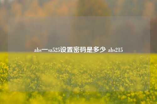 abs一sa525设置密码是多少 abs215