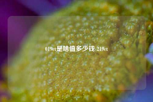 019ct是啥值多少钱 219ct