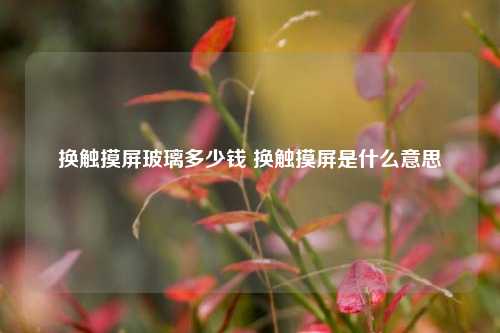 换触摸屏玻璃多少钱 换触摸屏是什么意思