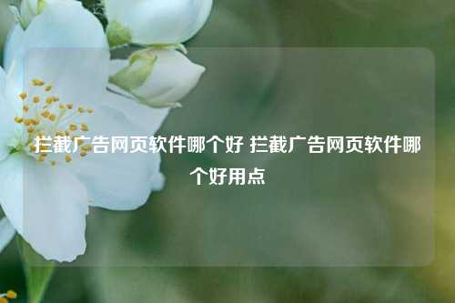 拦截广告网页软件哪个好 拦截广告网页软件哪个好用点