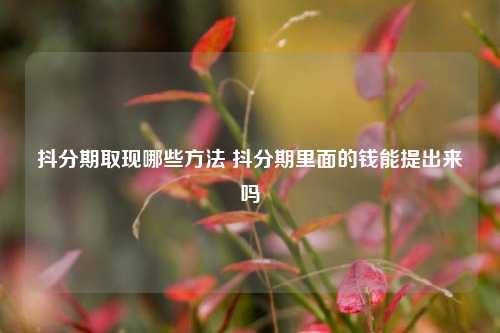 抖分期取现哪些方法 抖分期里面的钱能提出来吗