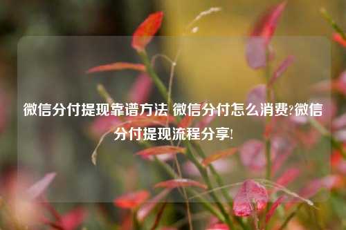 微信分付提现靠谱方法 微信分付怎么消费?微信分付提现流程分享!