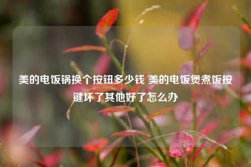 美的电饭锅换个按钮多少钱 美的电饭煲煮饭按键坏了其他好了怎么办
