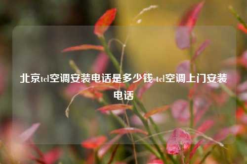 北京tcl空调安装电话是多少钱 tcl空调上门安装电话