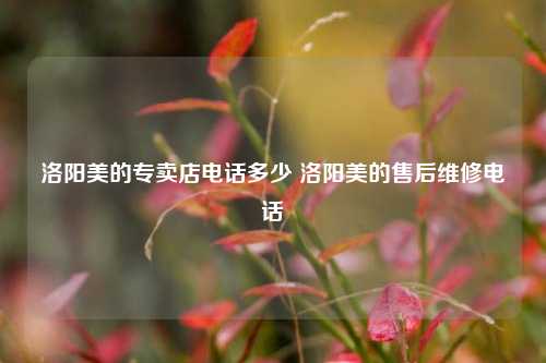 洛阳美的专卖店电话多少 洛阳美的售后维修电话
