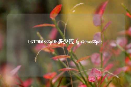 LGT70MS33pDE多少钱 lg t70ms33pde