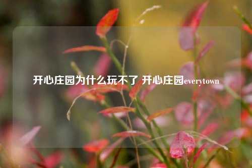 开心庄园为什么玩不了 开心庄园everytown