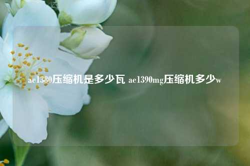ae1380压缩机是多少瓦 ae1390mg压缩机多少w