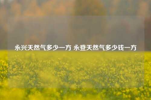永兴天然气多少一方 永登天然气多少钱一方