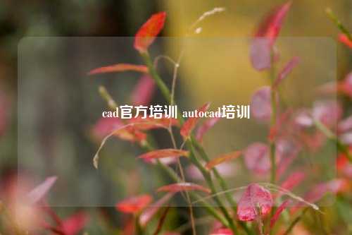 cad官方培训 autocad培训