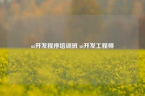 ui开发程序培训班 ui开发工程师