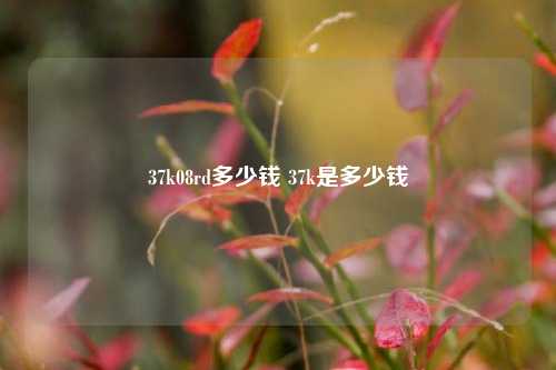37k08rd多少钱 37k是多少钱