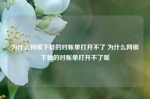 为什么网银下载的对帐单打开不了 为什么网银下载的对帐单打开不了呢