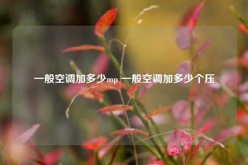 一般空调加多少mp 一般空调加多少个压