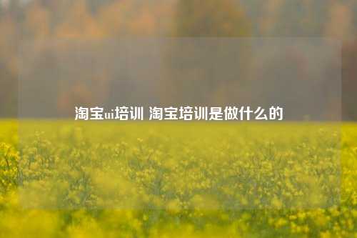 淘宝ui培训 淘宝培训是做什么的