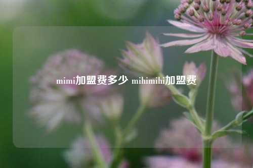 mimi加盟费多少 mihimihi加盟费