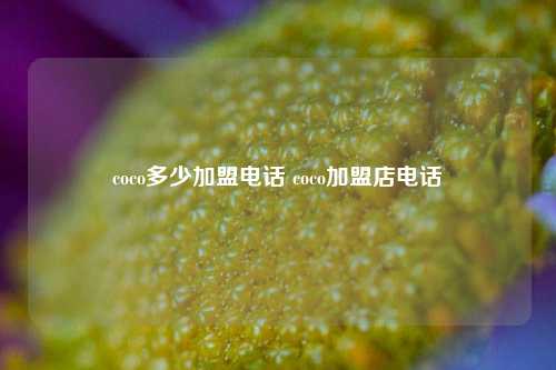 coco多少加盟电话 coco加盟店电话