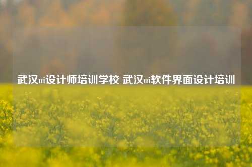 武汉ui设计师培训学校 武汉ui软件界面设计培训