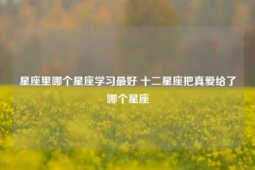 星座里哪个星座学习最好 十二星座把真爱给了哪个星座