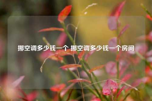 挪空调多少钱一个 挪空调多少钱一个房间