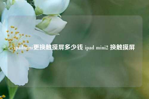 ipadmini更换触摸屏多少钱 ipad mini2 换触摸屏