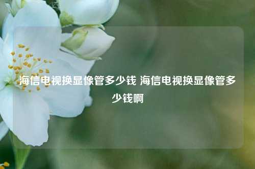 海信电视换显像管多少钱 海信电视换显像管多少钱啊