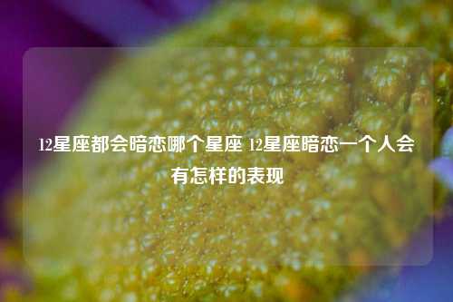 12星座都会暗恋哪个星座 12星座暗恋一个人会有怎样的表现