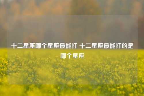 十二星座哪个星座最能打 十二星座最能打的是哪个星座