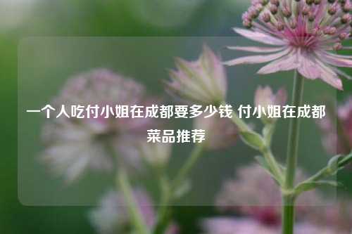 一个人吃付小姐在成都要多少钱 付小姐在成都菜品推荐