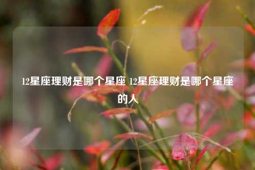 12星座理财是哪个星座 12星座理财是哪个星座的人