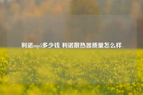 利诺mp5多少钱 利诺散热器质量怎么样