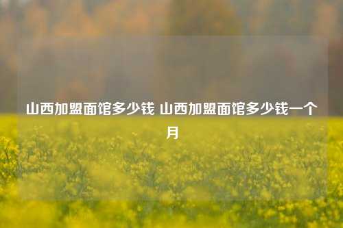 山西加盟面馆多少钱 山西加盟面馆多少钱一个月