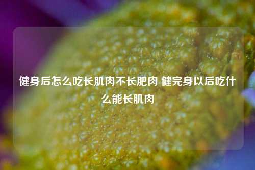 健身后怎么吃长肌肉不长肥肉 健完身以后吃什么能长肌肉