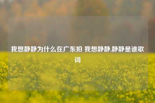 我想静静为什么在广东拍 我想静静,静静是谁歌词