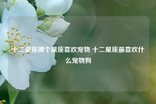 十二星座哪个星座喜欢宠物 十二星座最喜欢什么宠物狗