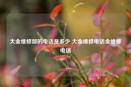 大金维修部的电话是多少 大金维修电话金维修电话
