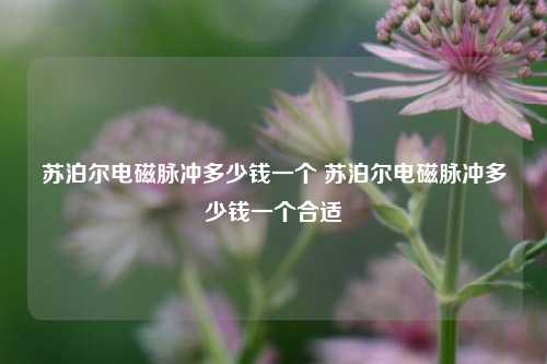 苏泊尔电磁脉冲多少钱一个 苏泊尔电磁脉冲多少钱一个合适