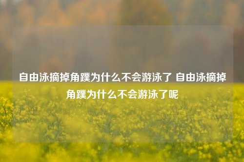 自由泳摘掉角蹼为什么不会游泳了 自由泳摘掉角蹼为什么不会游泳了呢